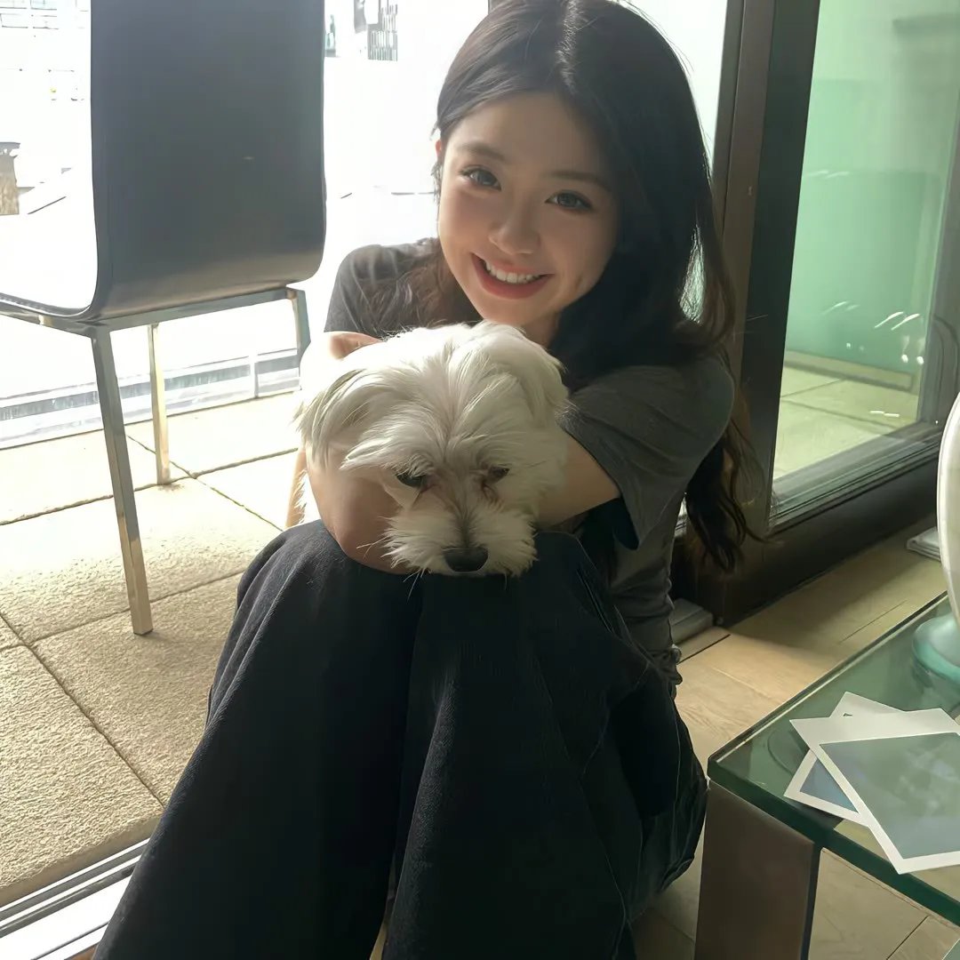 猩空漫游封面