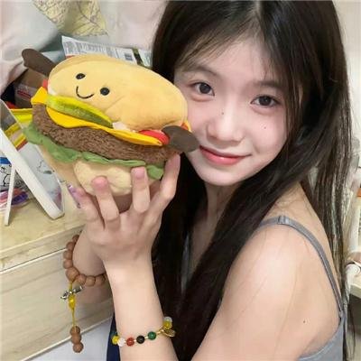 绯色战姬封面